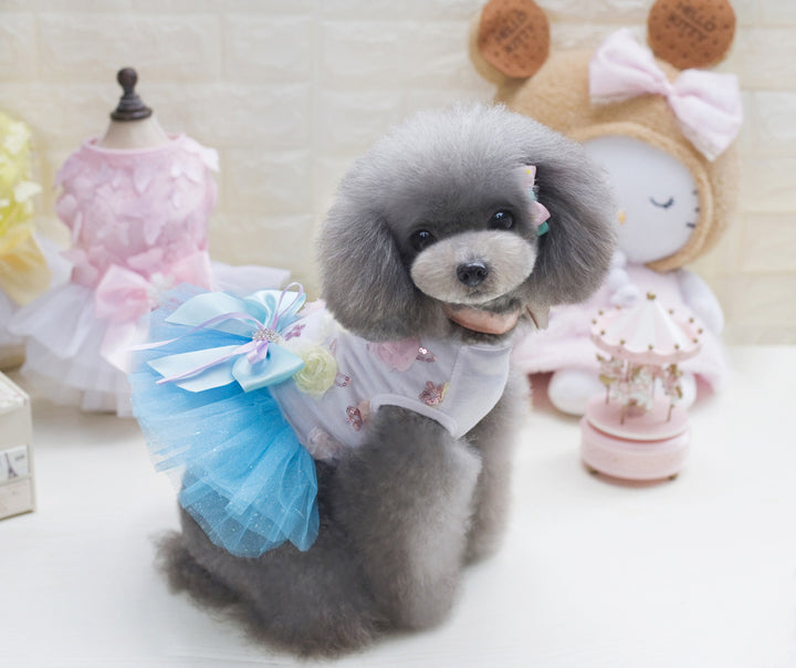 Teddy dog pet dress