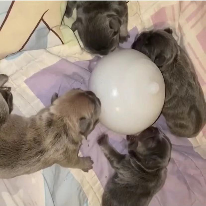 Kitten and Puppy Bionic Automatic Feeding Bottle Bubble Milk Bowl