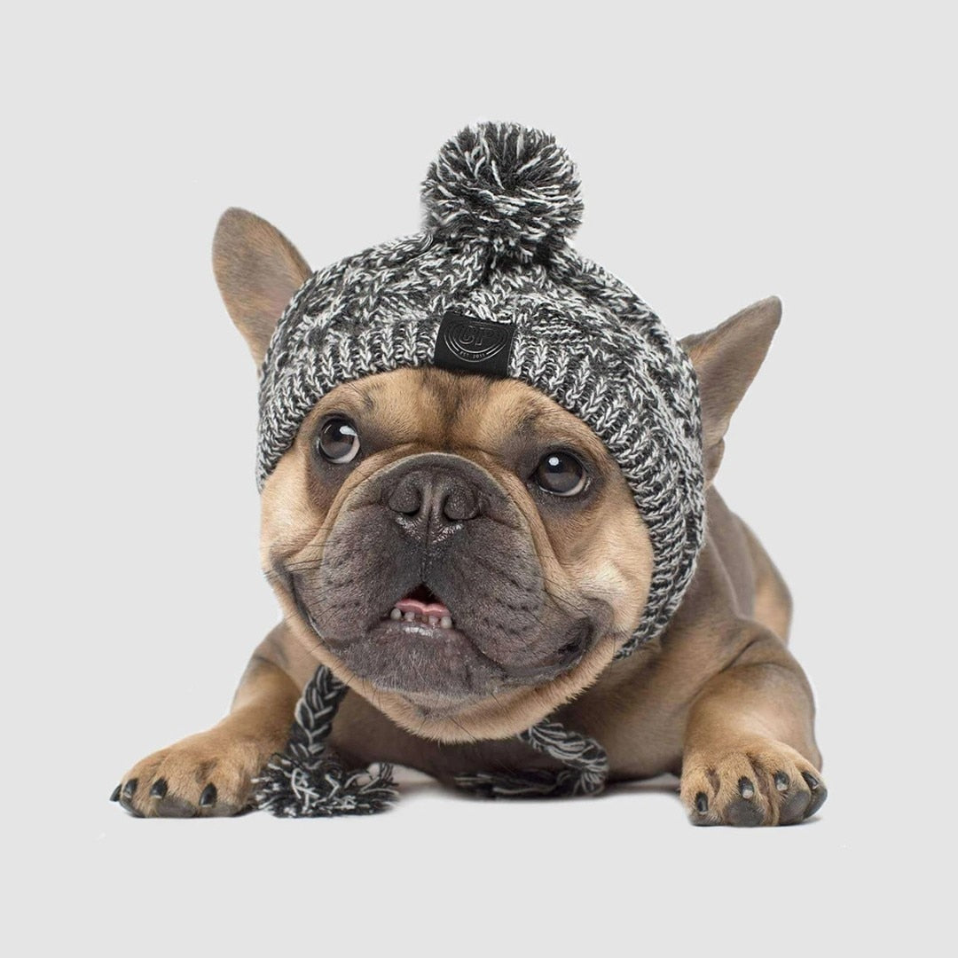 Winter Fashion Dog Hat Windproof Fluffy Knitted Polar Pom Hat