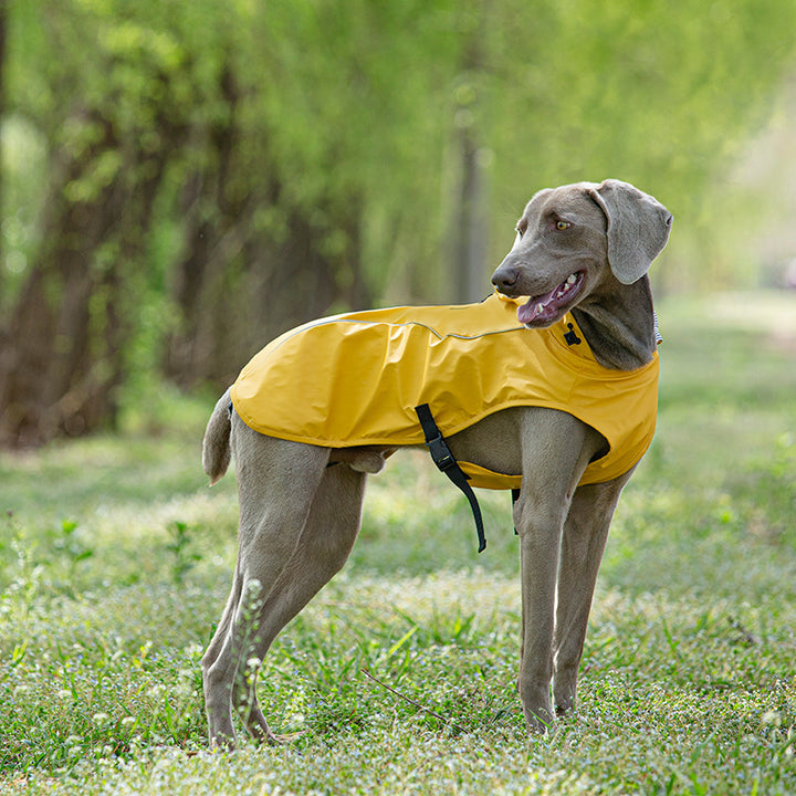 Pet Pu Raincoat Clothes Medium And Large Portable Universal