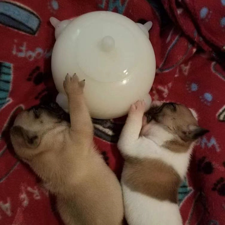 Kitten and Puppy Bionic Automatic Feeding Bottle Bubble Milk Bowl