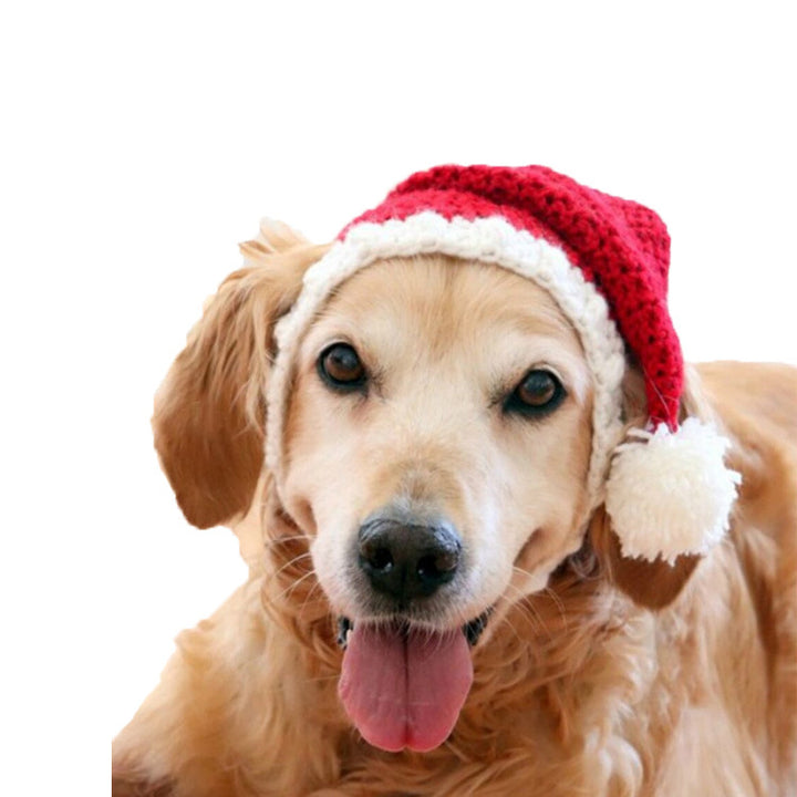 Two-piece Pet Hand-knitted Hat And Scarf
