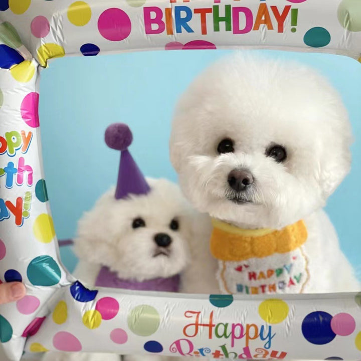 Happy Birthday Party Bib