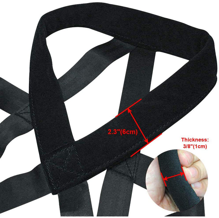 Dog Training Harness