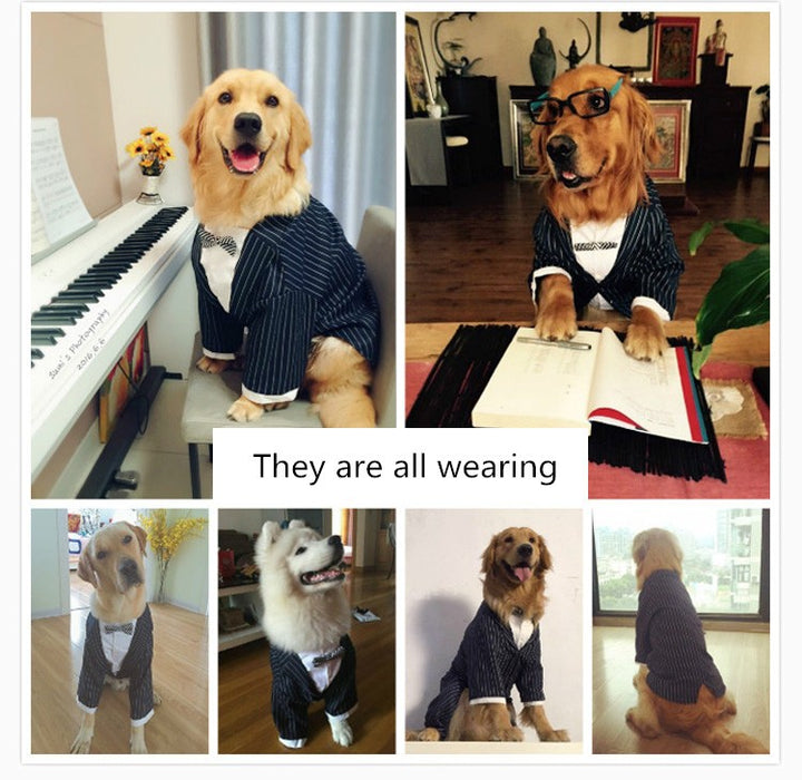 Striped bow tie suit dog clothes