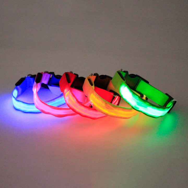 Light Up Dog Collars