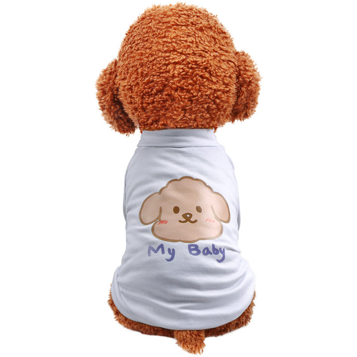 Pet Transparent Waterproof Rainbow Poncho