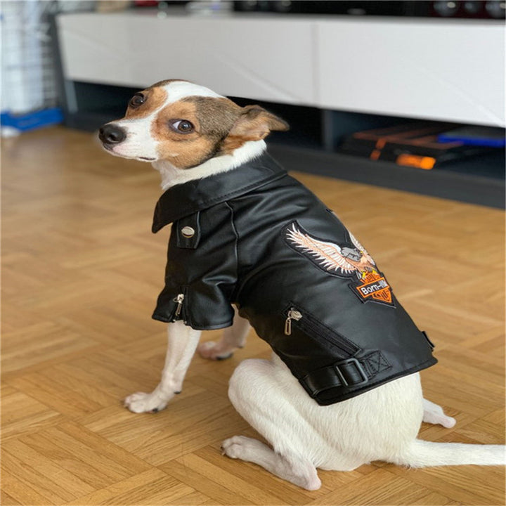 Bad Too The Bone Dog Jacket