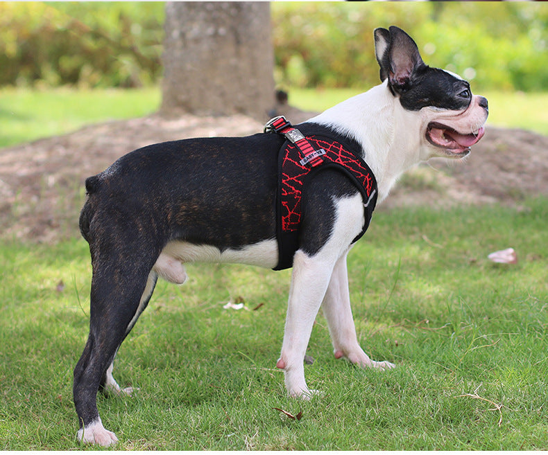 Pet supplies chest harness pet leash in stock
