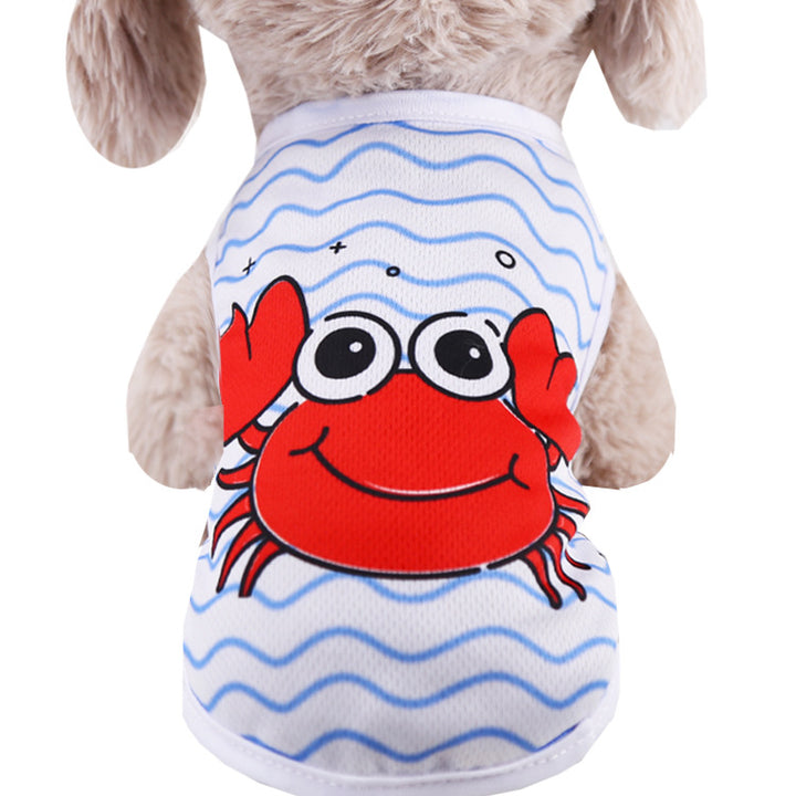 Puppy Fighting Teddy Cat Clothes