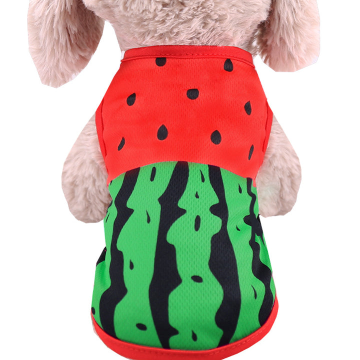 Puppy Fighting Teddy Cat Clothes