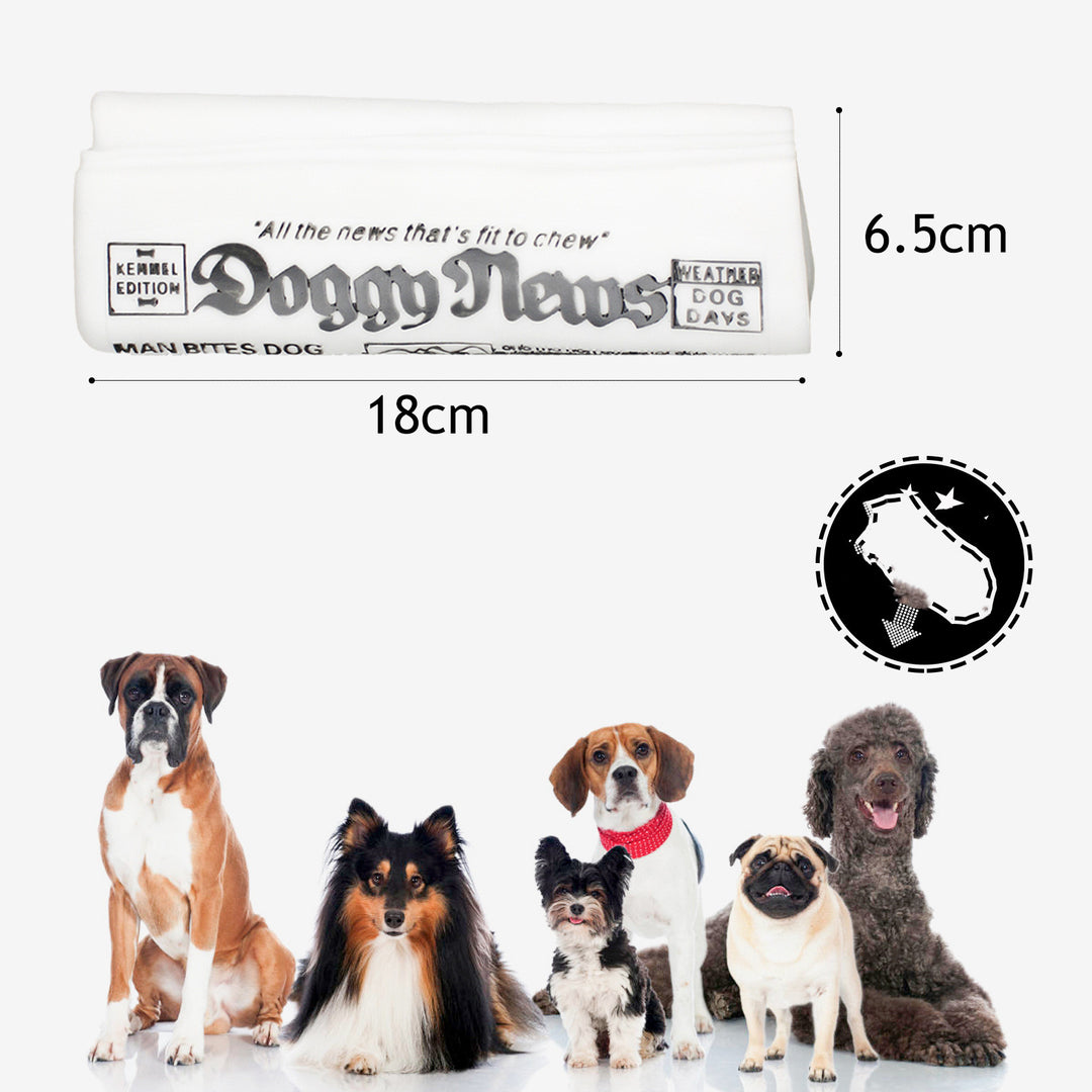 Squeaky Pet Dog Toy Newspaper Chew Training Toys