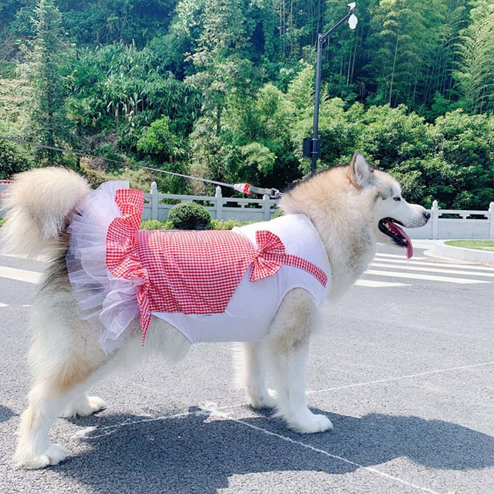 Dog Princess Dress