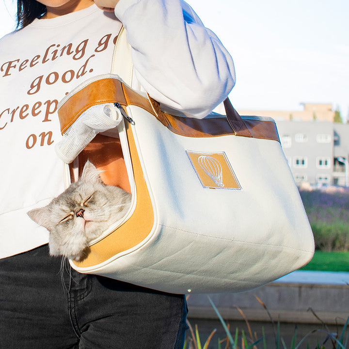 New Style Portable Cat bag Large Outing Portable Cat Backpack