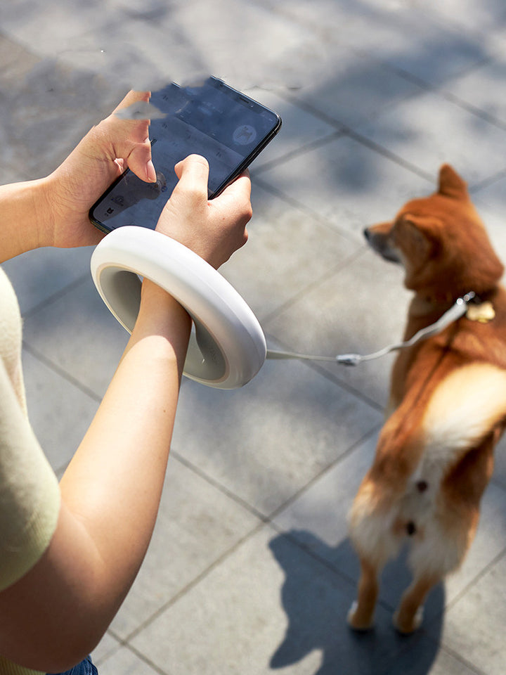Meng Wangxing UFO Retractable Leash Dog Small and Medium-sized Dog Teddy Dog Leash Golden Retriever Dog Chain Pet Supplies