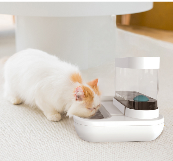 4 Style Cat & Dog Automatic Feeding Water Bowl
