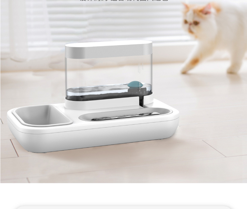 4 Style Cat & Dog Automatic Feeding Water Bowl