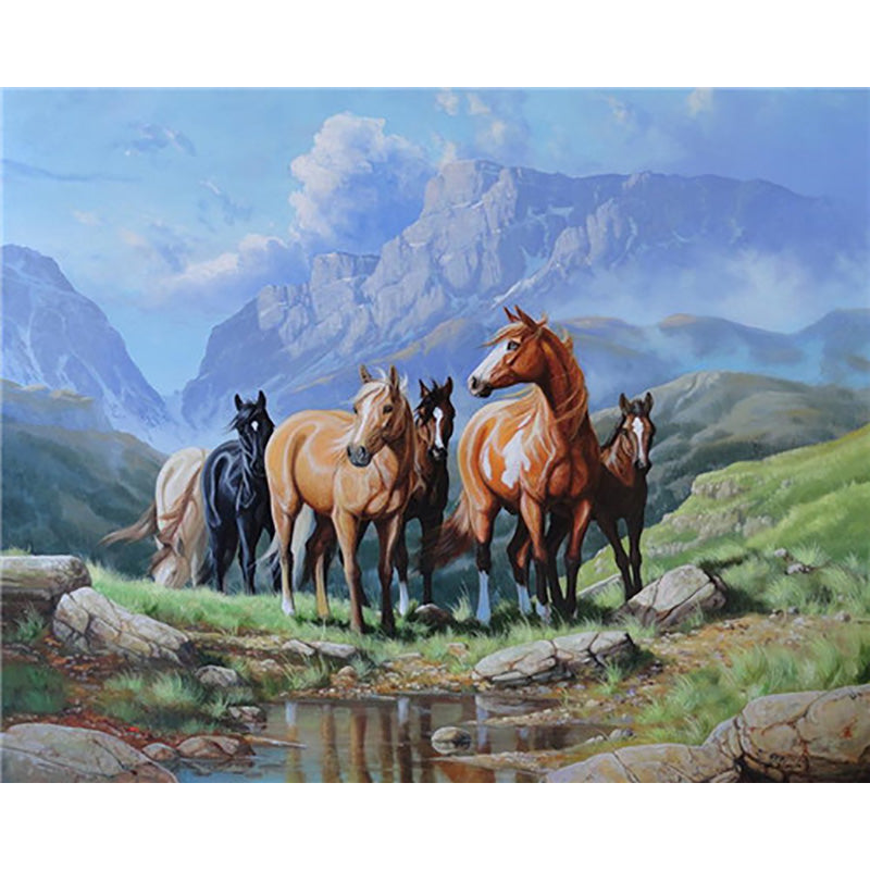 Horse Numbered Paintings