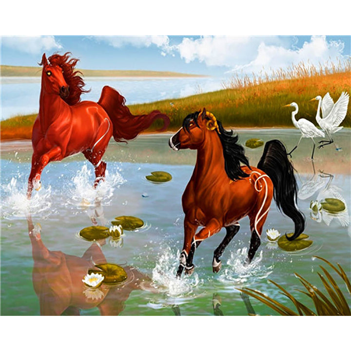 Horse Numbered Paintings