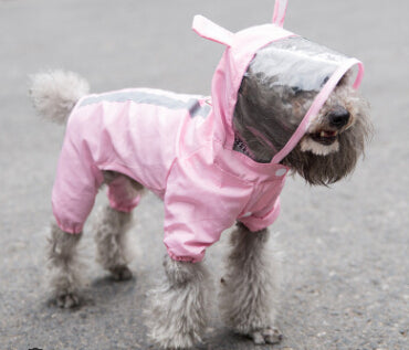 Pet dog raincoat