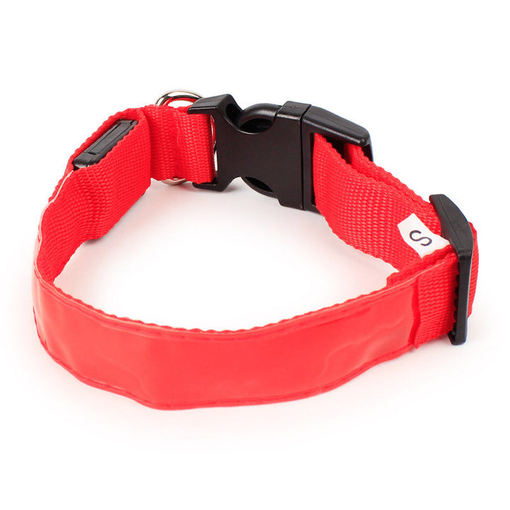 Light Up Dog Collars