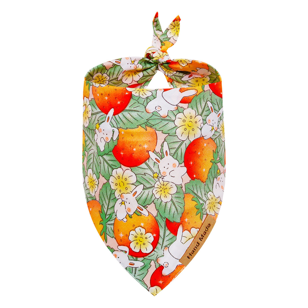 Cute Cartoon Pet Bandana
