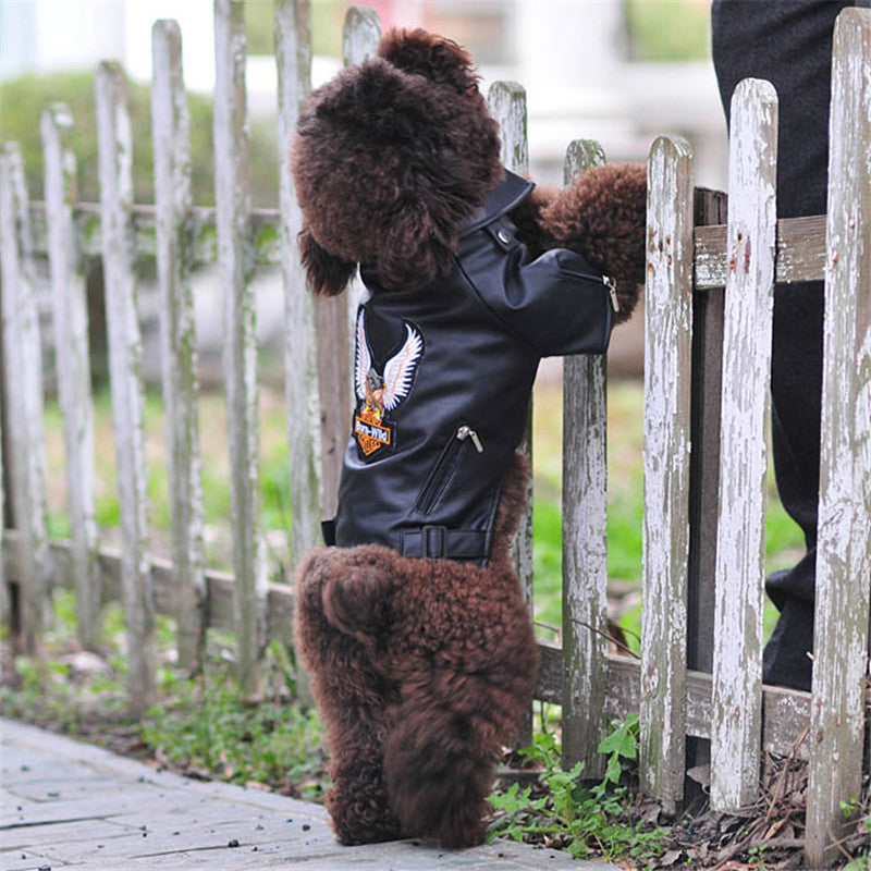 Bad Too The Bone Dog Jacket