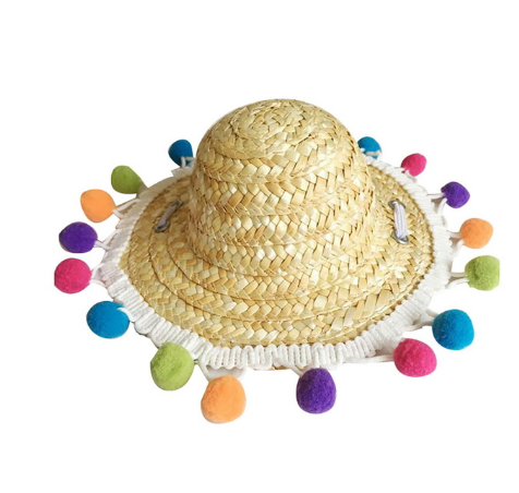 Pet Summer Sunglasses