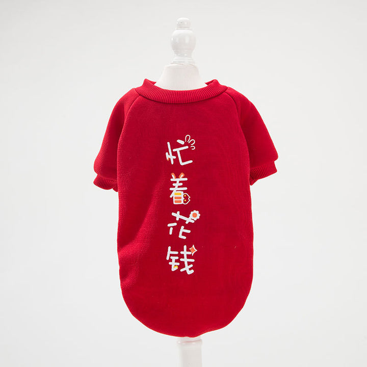Adorable All Seasons Cat Shirt