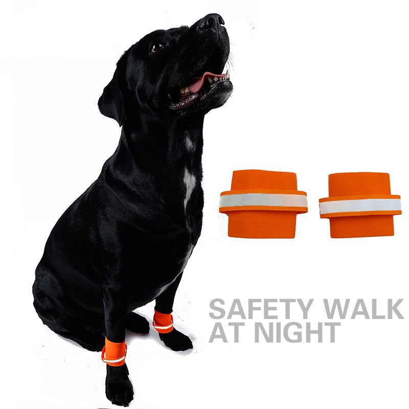 Puppy fluorescent foot cover