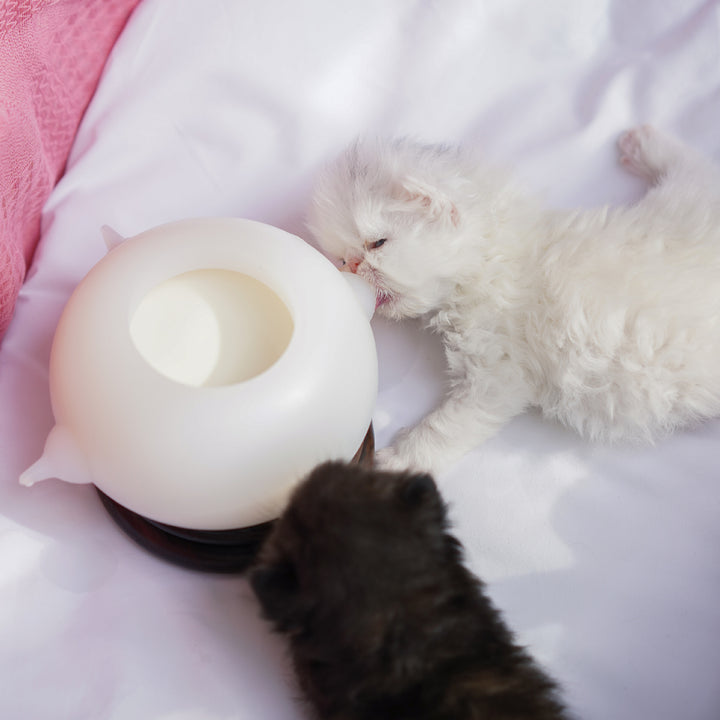 Kitten and Puppy Bionic Automatic Feeding Bottle Bubble Milk Bowl