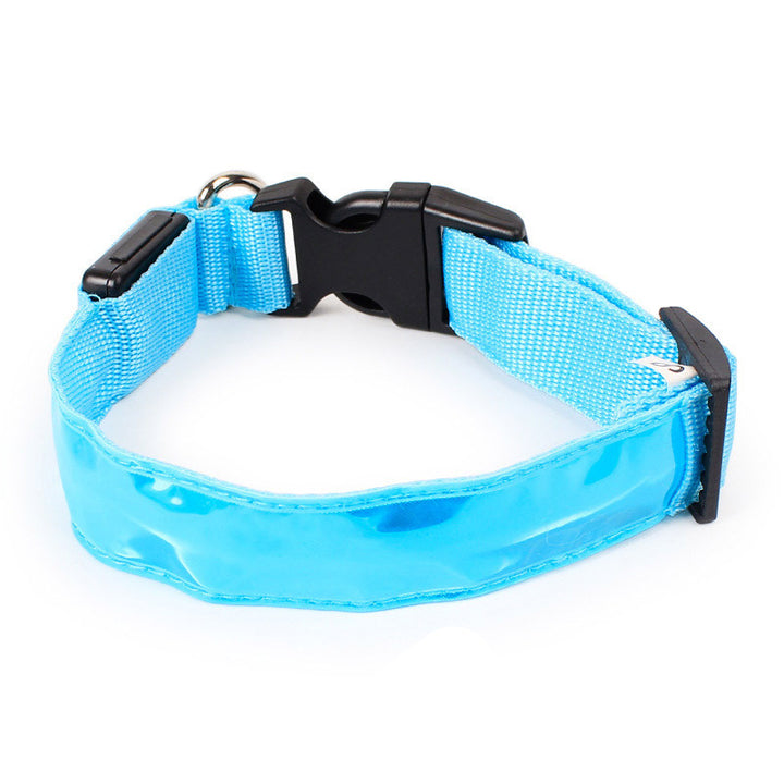Light Up Dog Collars