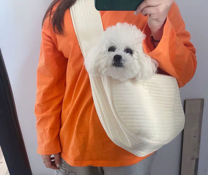 Summer pet cat outing bag