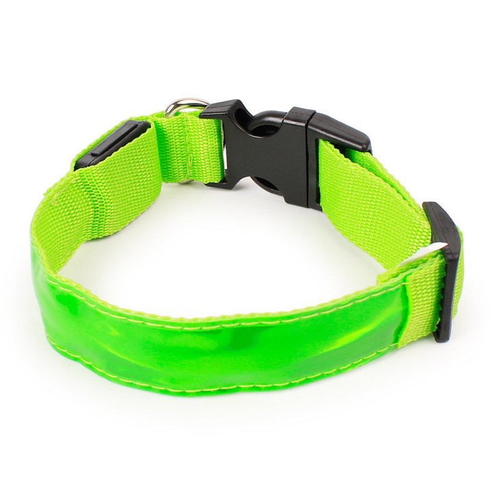 Light Up Dog Collars