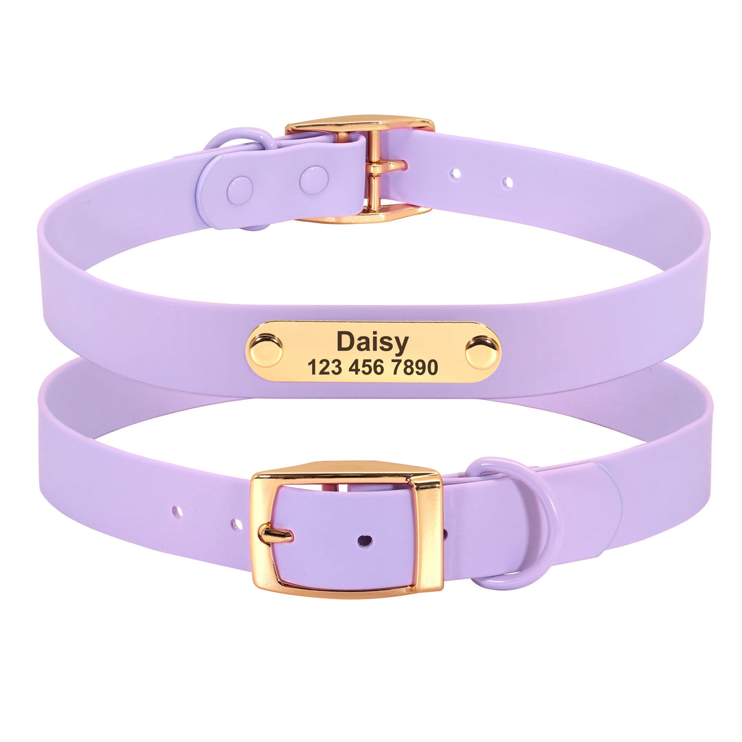 Collar Leash Medium Dog Teddy