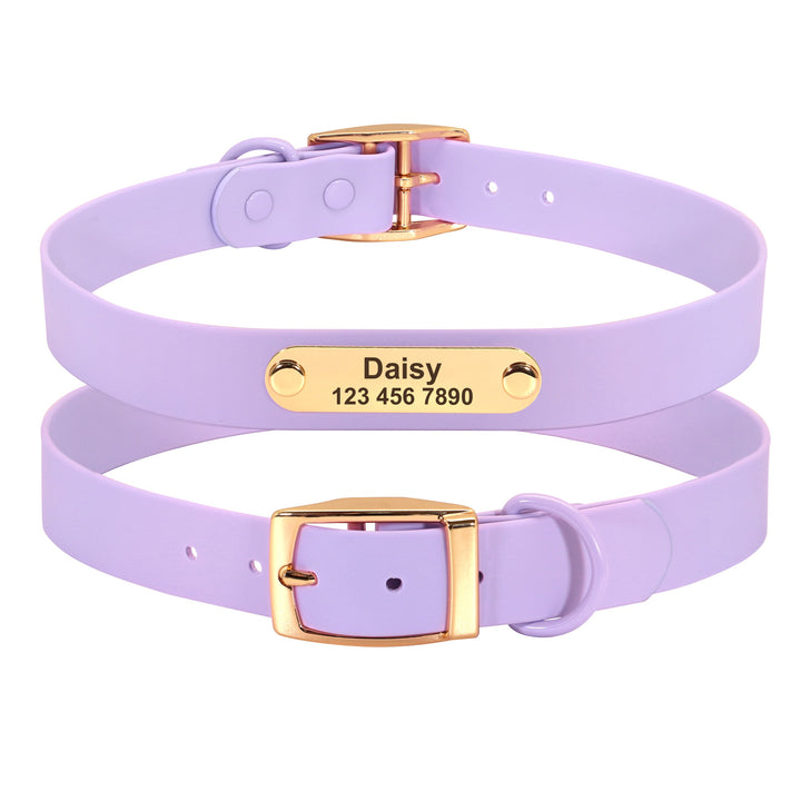 Collar Leash Medium Dog Teddy