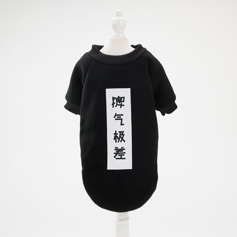 Adorable All Seasons Cat Shirt