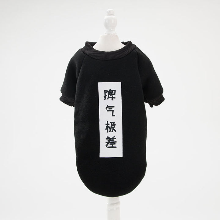 Adorable All Seasons Cat Shirt
