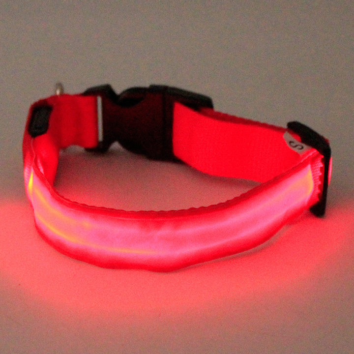 Light Up Dog Collars