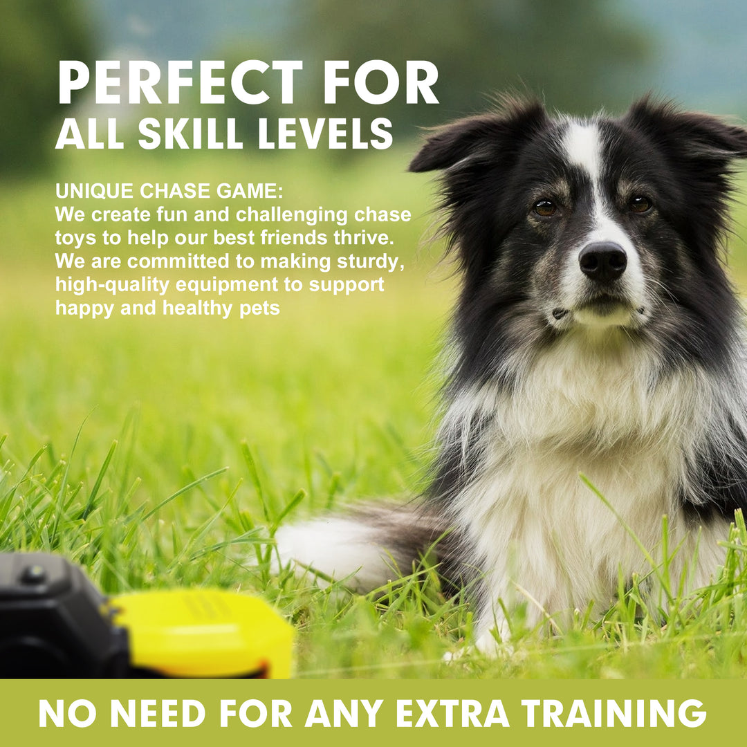 Pet Chase Toys Home Training Supplies