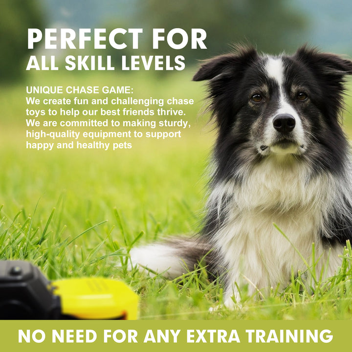 Pet Chase Toys Home Training Supplies