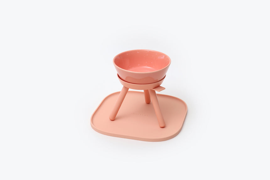 Dog dining table bowl