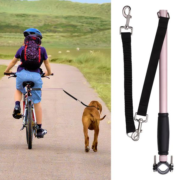 Bicycle walking dog leash