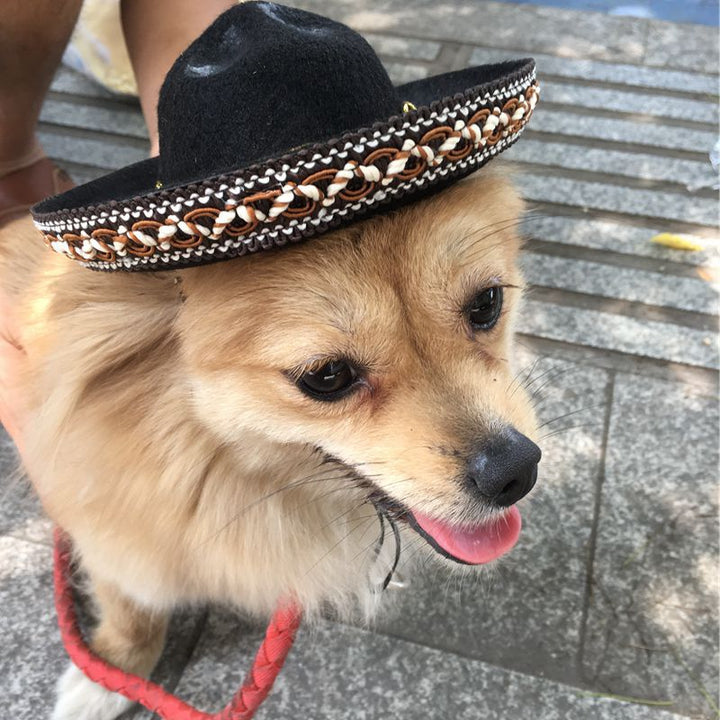 Let’s Dance Pet Hat