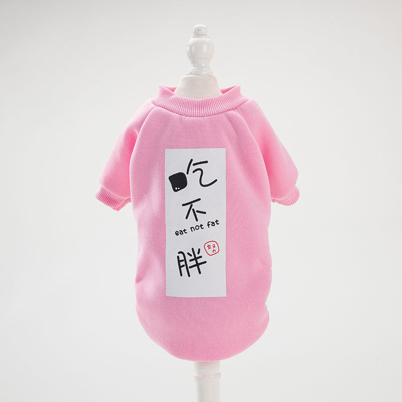 Adorable All Seasons Cat Shirt