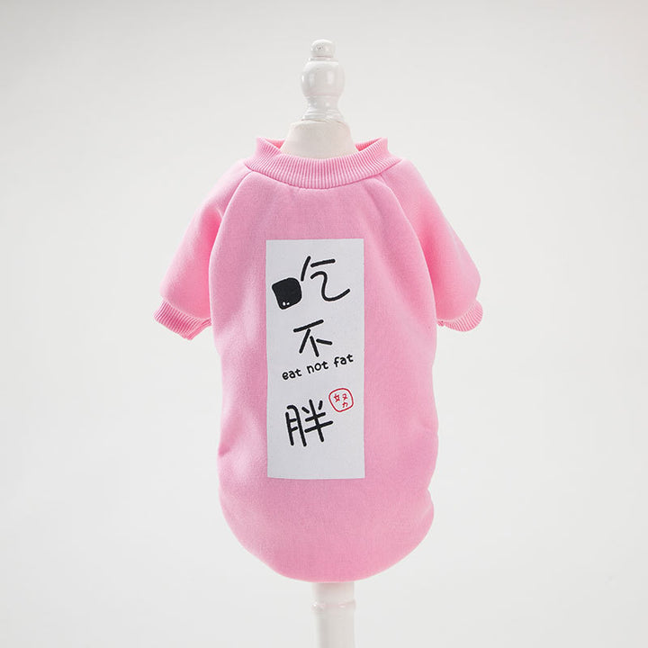 Adorable All Seasons Cat Shirt