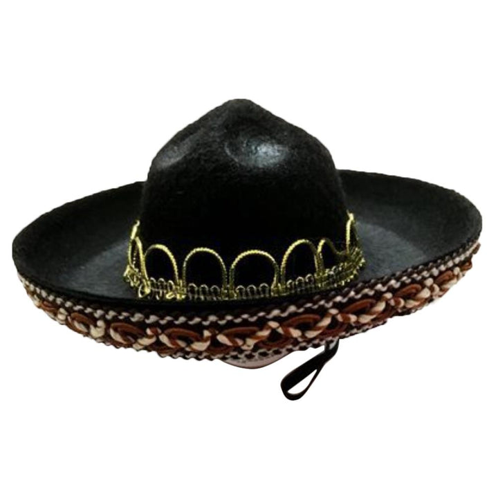 Let’s Dance Pet Hat