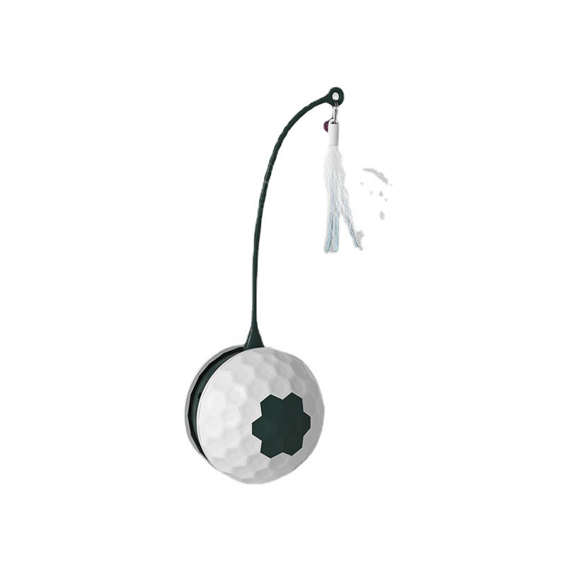 Bite Resistant Cat Intelligent Toys