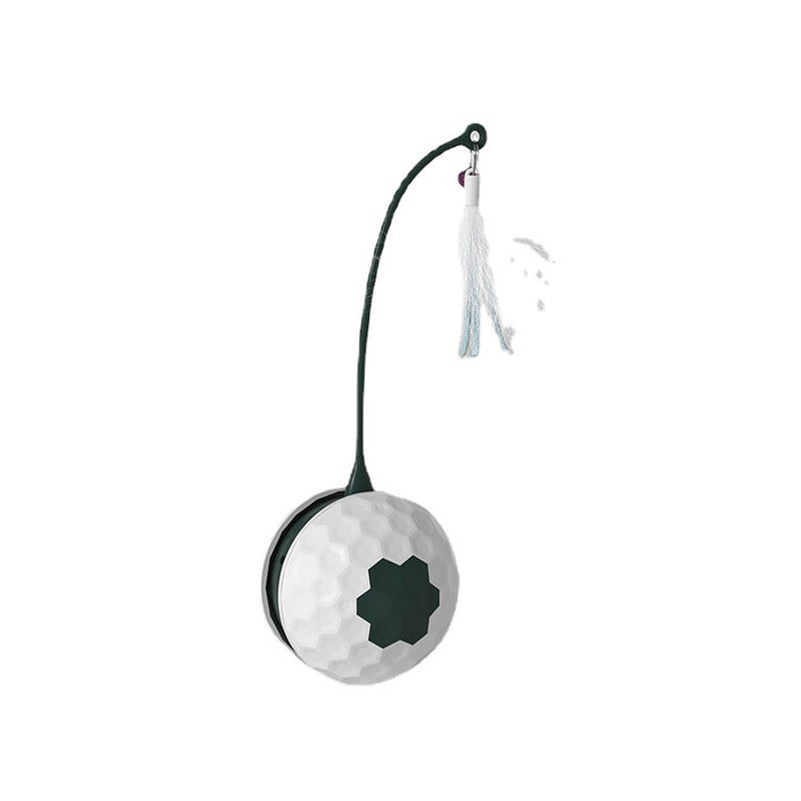 Bite Resistant Cat Intelligent Toys