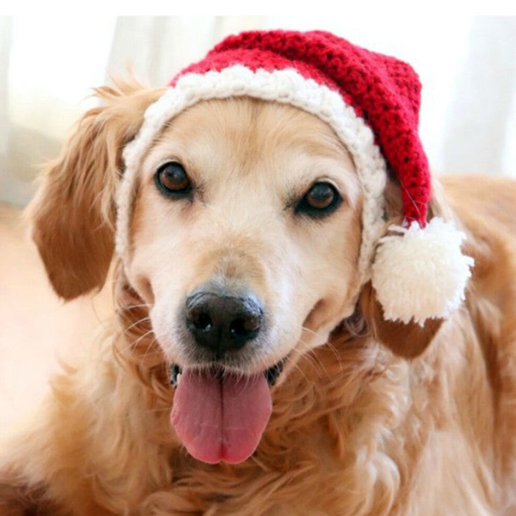 Two-piece Pet Hand-knitted Hat And Scarf